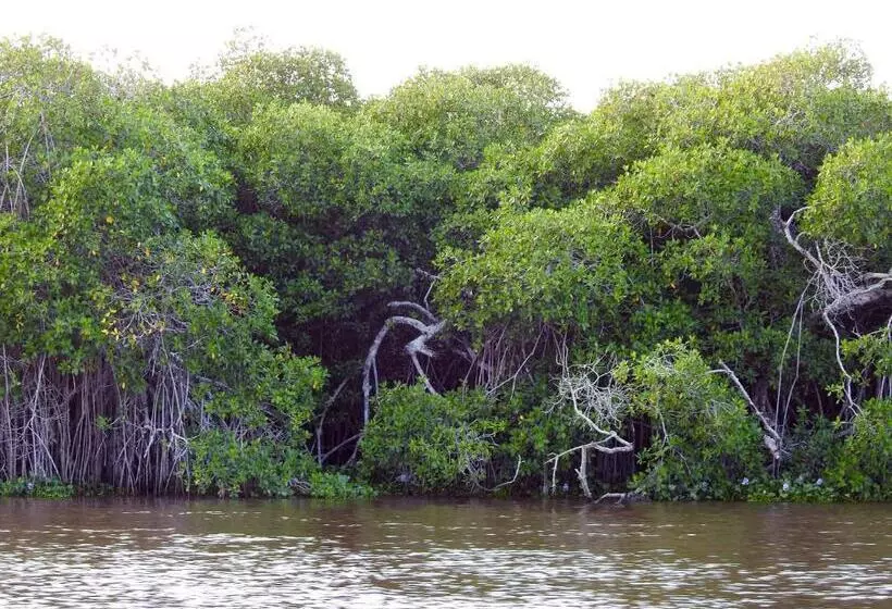 Hotelli Don Luis Hostal   Sucursal Hidalgo   Tecolutla