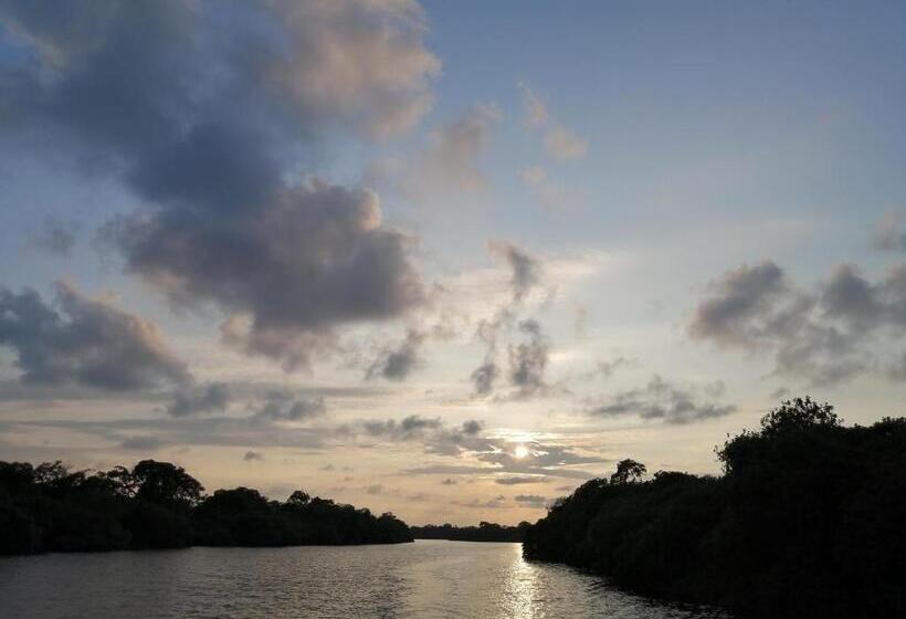 בית מלון כפרי Don Luis Hostal   Sucursal Hidalgo   Tecolutla