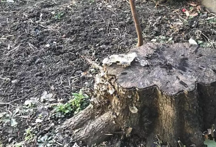 Majatalo Hostel Minka Matsumoto   Vacation Stay 87678