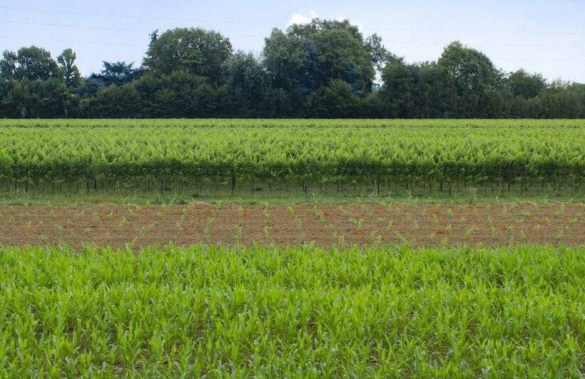 هتل Green Garden Resort   Smart