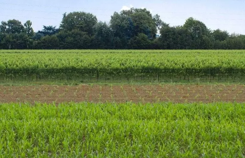 هتل Green Garden Resort Smart