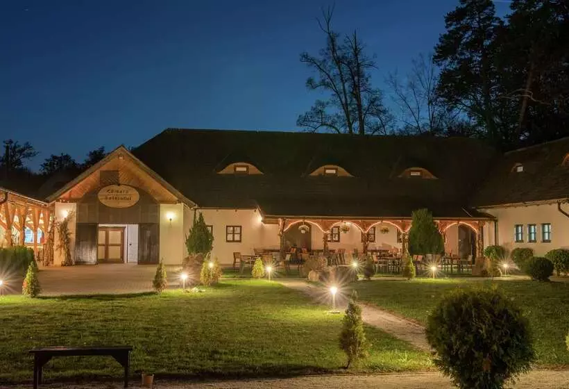 ホテル Hilton Sibiu