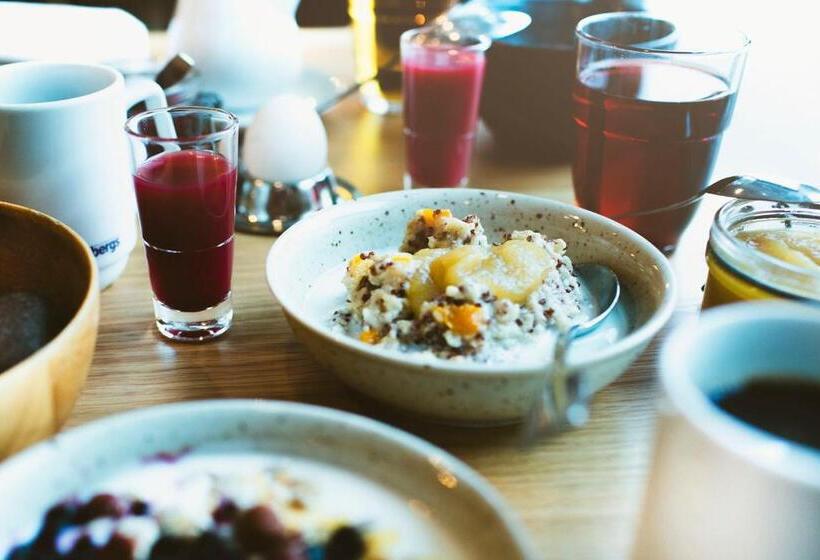 בית מלון כפרי Holiday Club åre