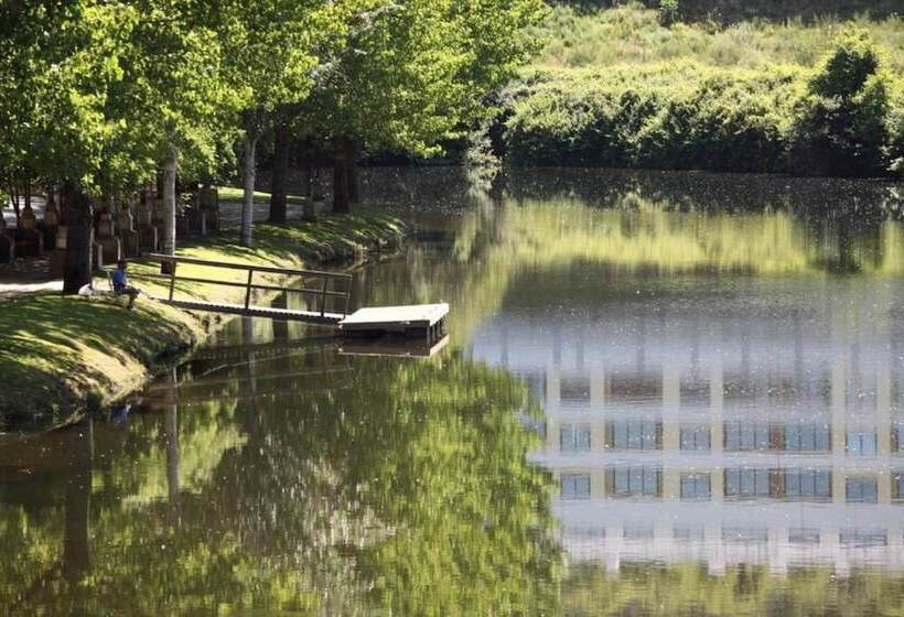 Отель Inatel Palace S.pedro Do Sul