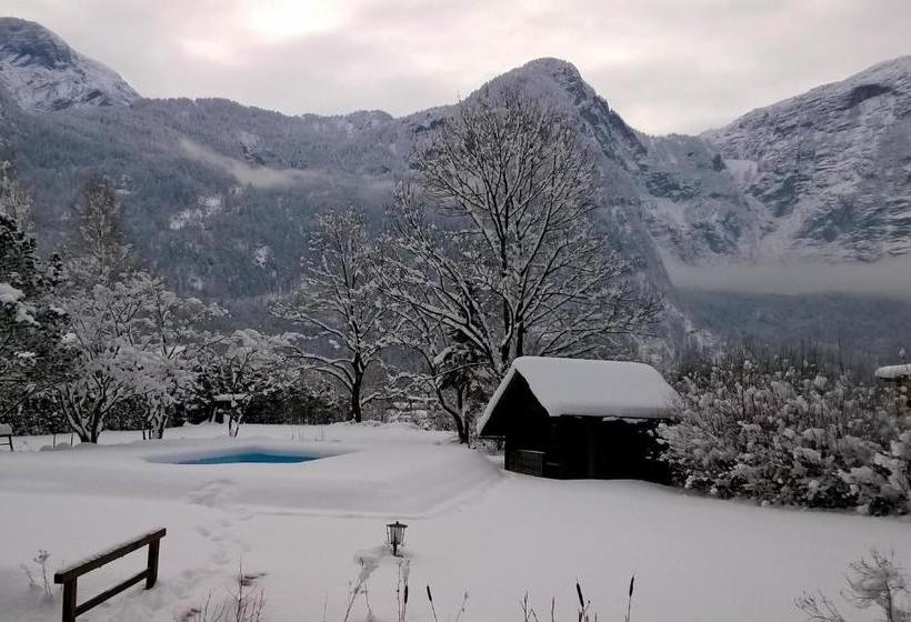 Seehotel Am Hallstättersee