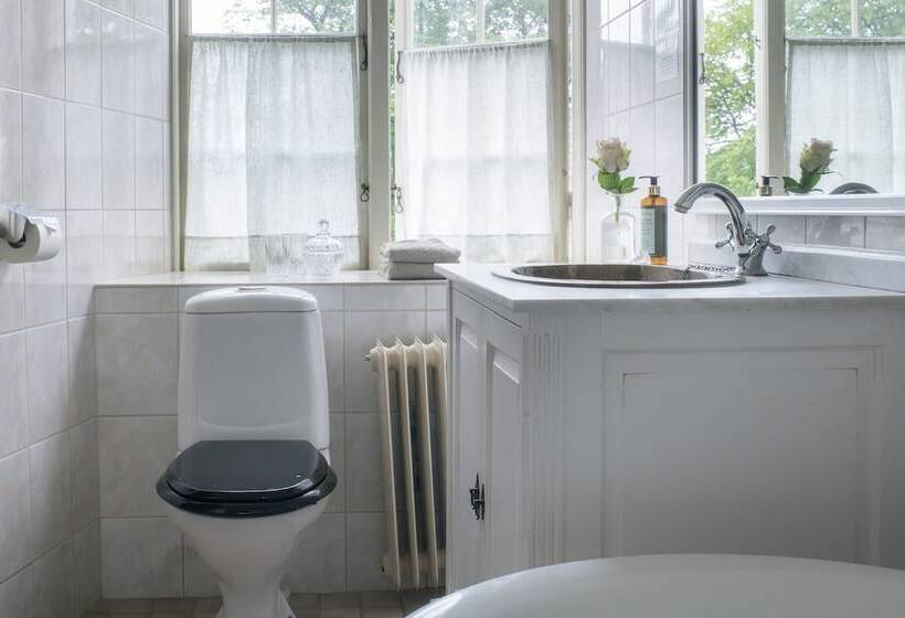 בית מלון כפרי Västanå Slott