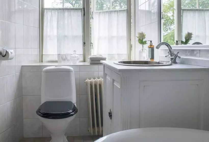 בית מלון כפרי Västanå Slott