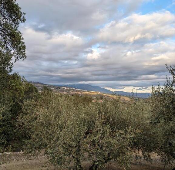 ペンション One Life Málaga Retreat