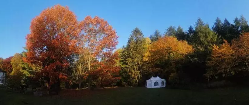 ペンション Villa Elisenruh