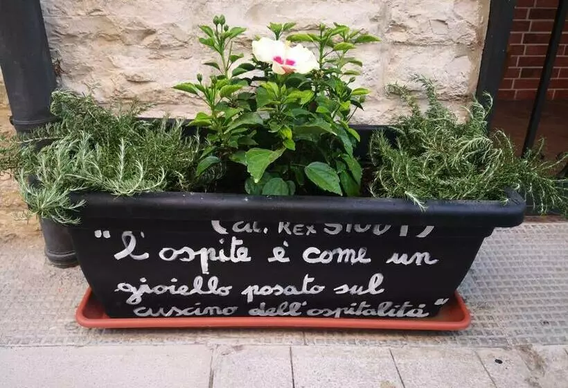 Aamiaismajoitus (B&B) Roberto S Guest House