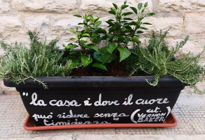 مبيت وإفطار Roberto S Guest House