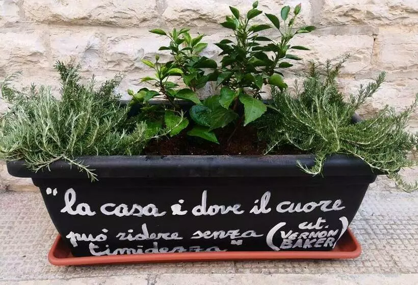 Aamiaismajoitus (B&B) Roberto S Guest House