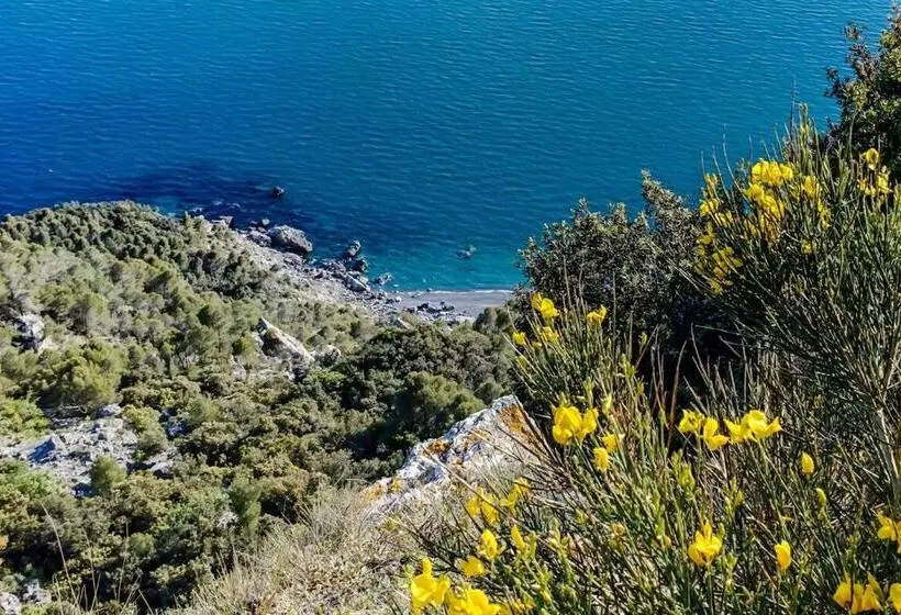 پانسیون La Casa Fra Gli Ulivi Luxury Apartments With Pool Near Cinque Terre And Tuscany