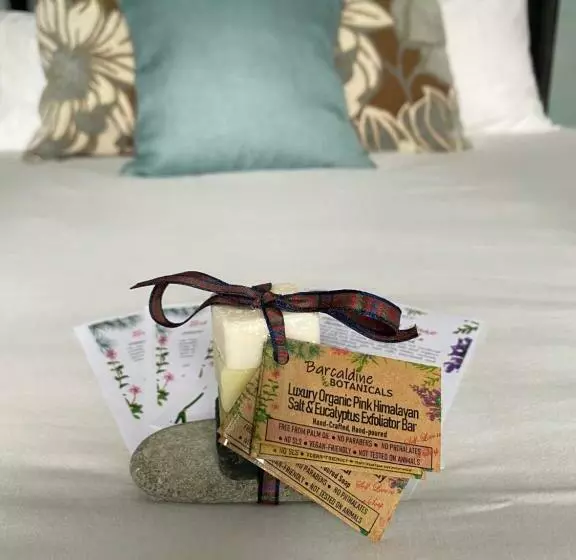 تختخواب و صبحانه Ardmor Guest House