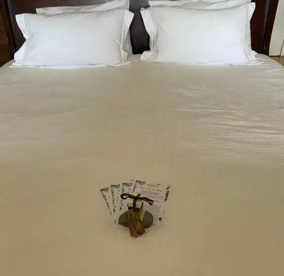 تختخواب و صبحانه Ardmor Guest House