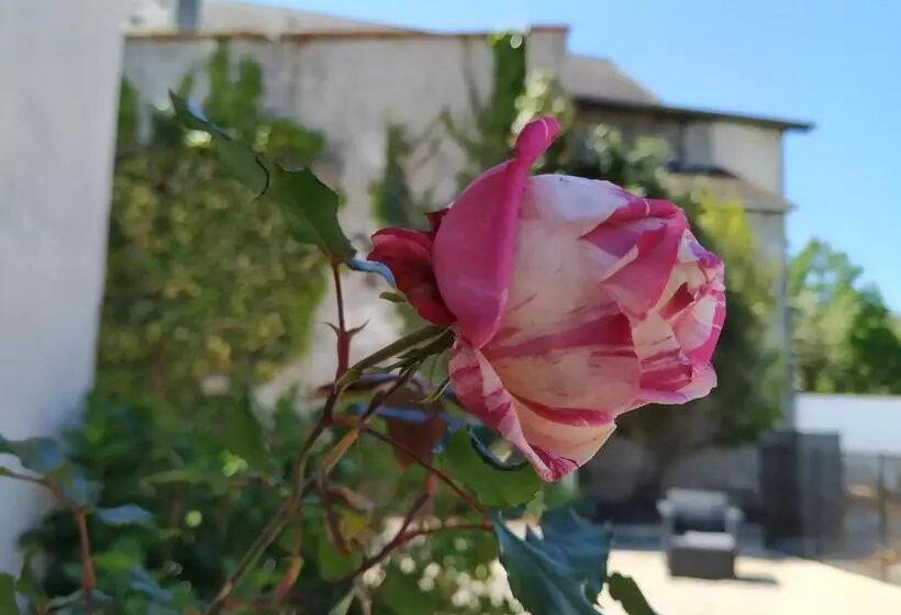 Aamiaismajoitus (B&B) Gaïnaa