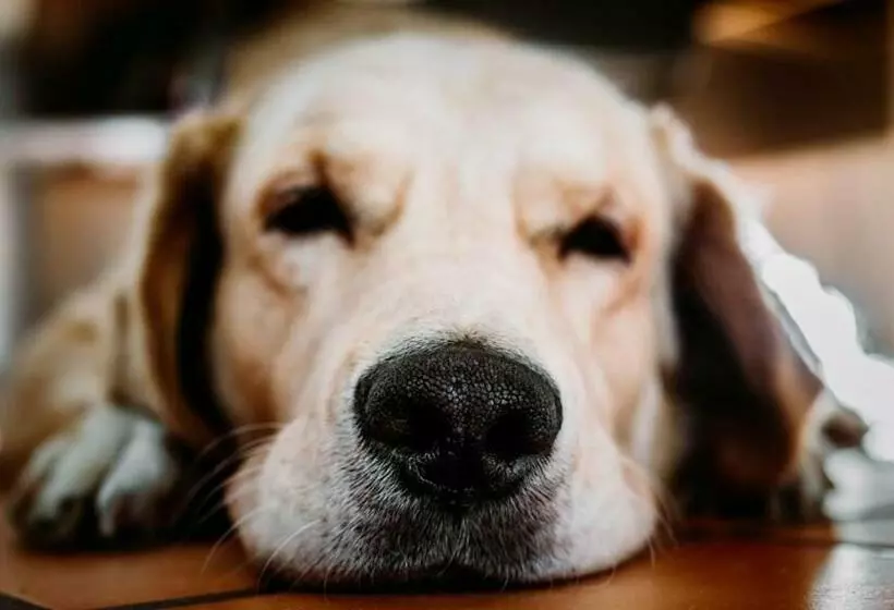 Hotelli De Watermölle