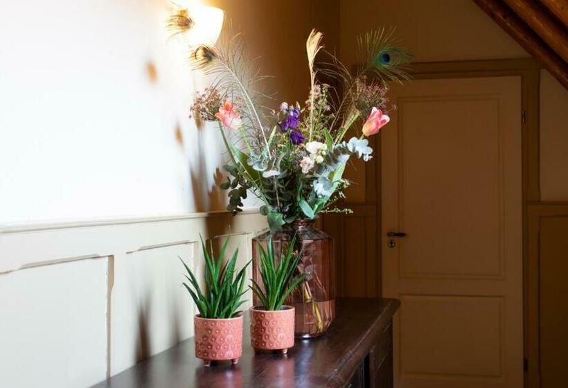 בית מלון כפרי De Watermölle