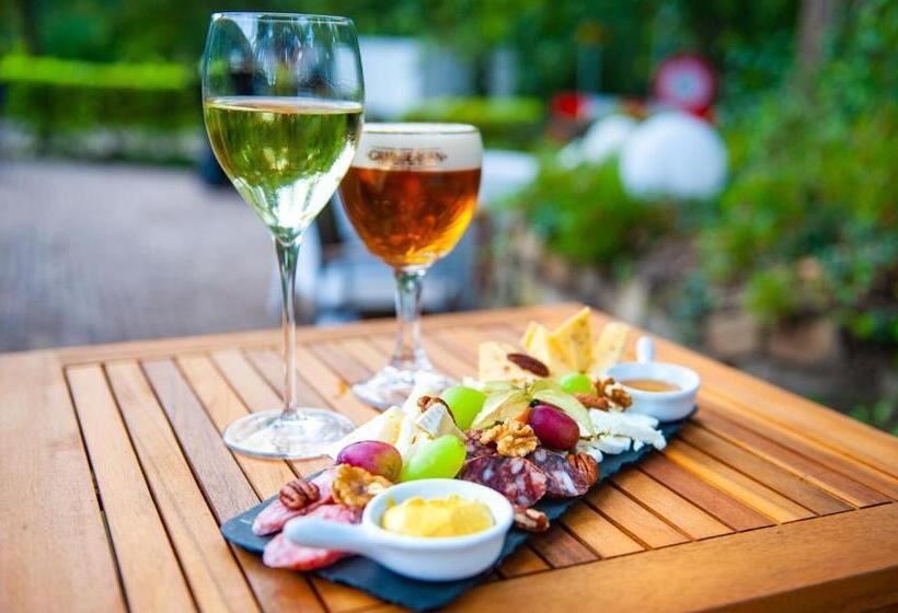 בית מלון כפרי De Watermölle