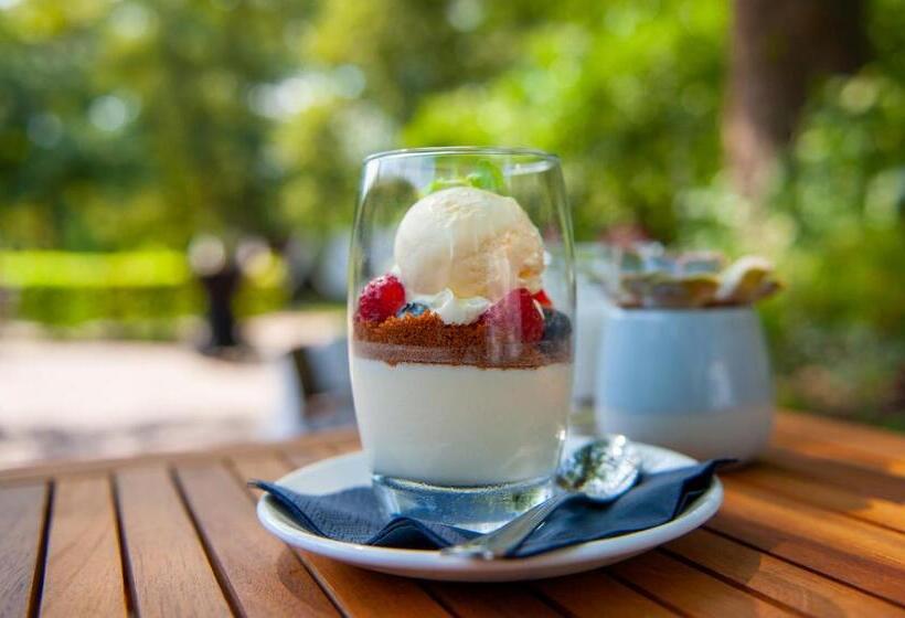 בית מלון כפרי De Watermölle