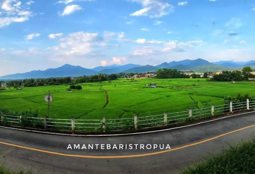 هاستل Amante Baristro Hotel & Cafe  @pua