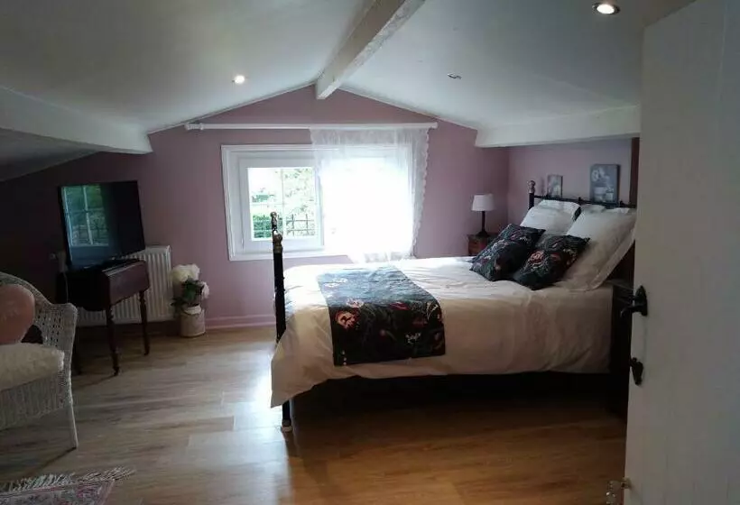 Aamiaismajoitus (B&B) Au Cur De Ménestérol Chambre émotion