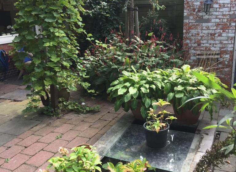 Bed and Breakfast Cessinas