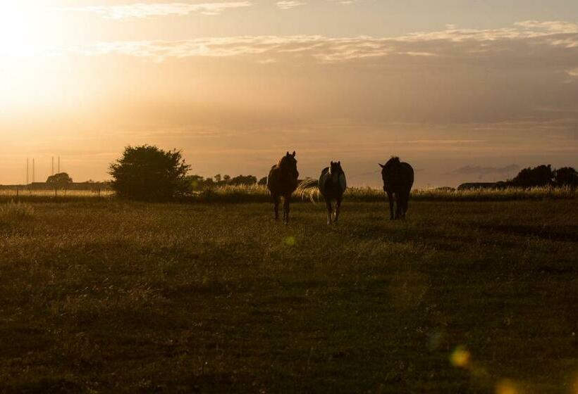 Bed and Breakfast Fridfullt Boende På Lantgård Med Underbar Utsikt