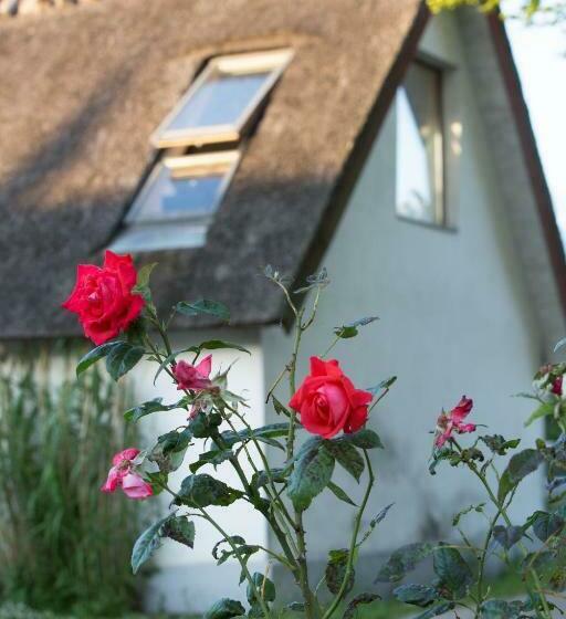 Bed and Breakfast Fridfullt Boende På Lantgård Med Underbar Utsikt