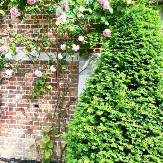 ベッドアンドブレックファースト La Tour D Héloïse   10  De Bruxelles