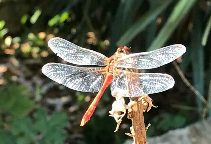 민박 Le Domaine De Gorneton