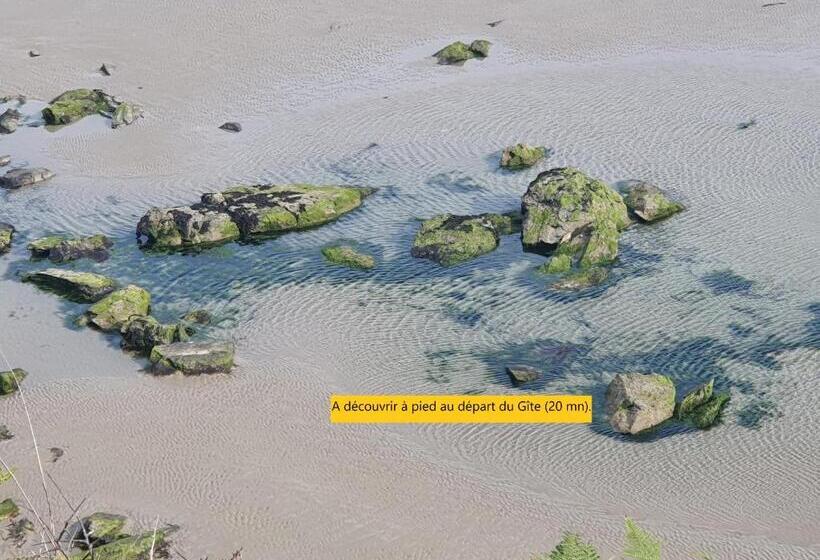 Bed and Breakfast Reflets De La Mer..