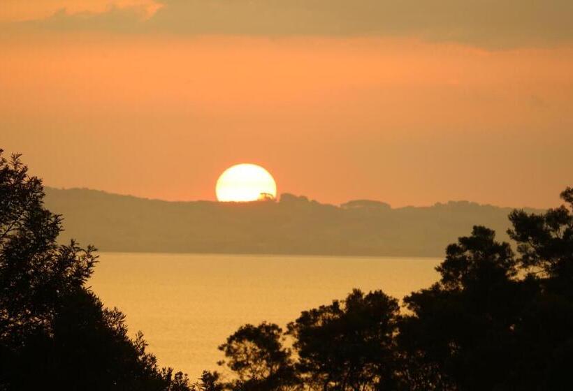 住宿加早餐 Waiotahi Valley Lodge