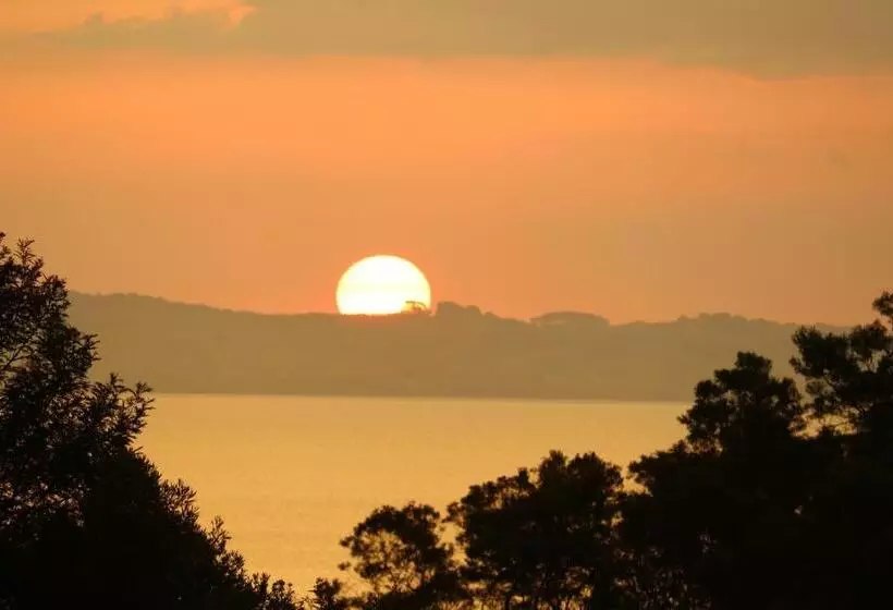 Aamiaismajoitus (B&B) Waiotahi Valley Lodge