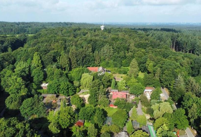 Parkhotel Keck   Castillo Del Bosque