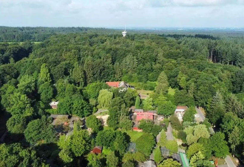 Parkhotel Keck   Castillo Del Bosque