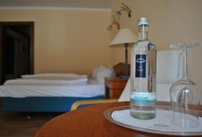 Parkhotel Keck   Castillo Del Bosque