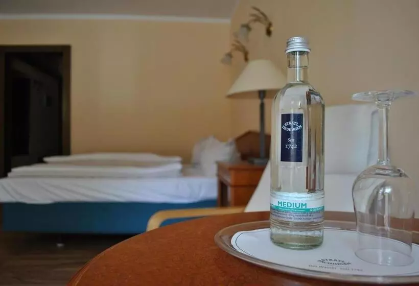 Parkhotel Keck   Castillo Del Bosque