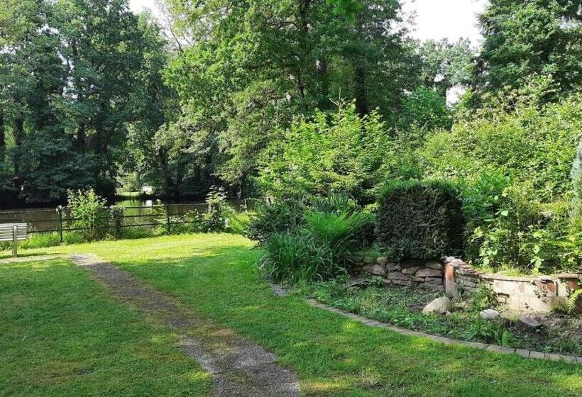 Parkhotel Keck   Castillo Del Bosque