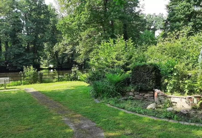 Parkhotel Keck   Castillo Del Bosque