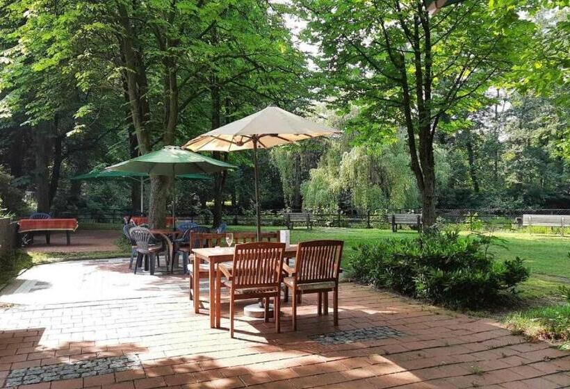 Parkhotel Keck   Castillo Del Bosque