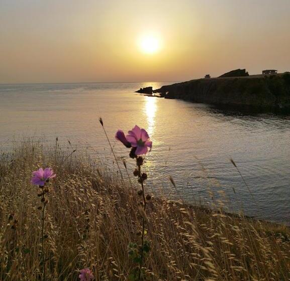 بنسيون Art Studio Capitain