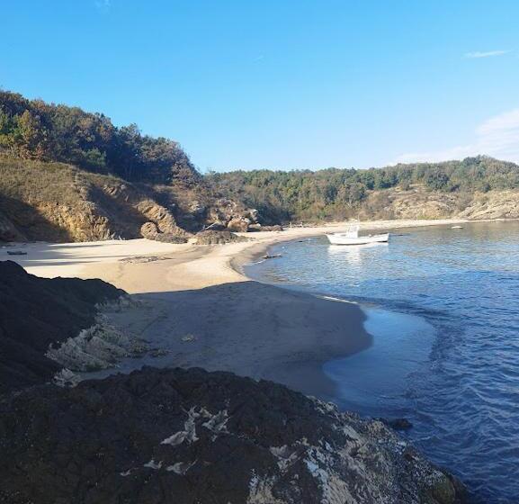 بنسيون Art Studio Capitain