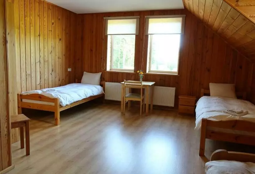 پانسیون Dižpriedes
