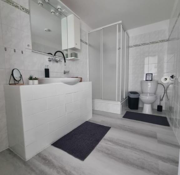 膳宿费 Penzion Orion