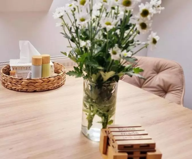 Majatalo Penzion Orion