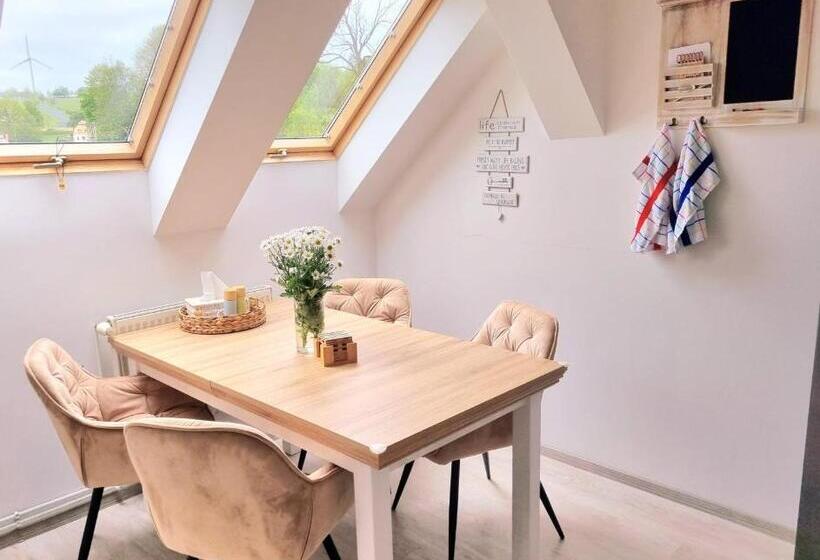 膳宿费 Penzion Orion