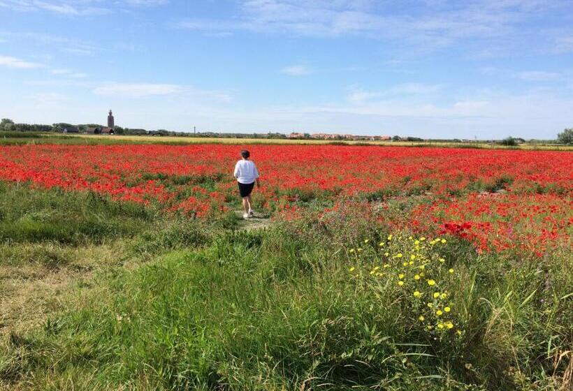 צימר Bed Bij Zee