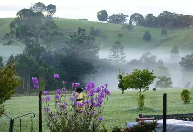 Aamiaismajoitus (B&B) La Dolce Vita