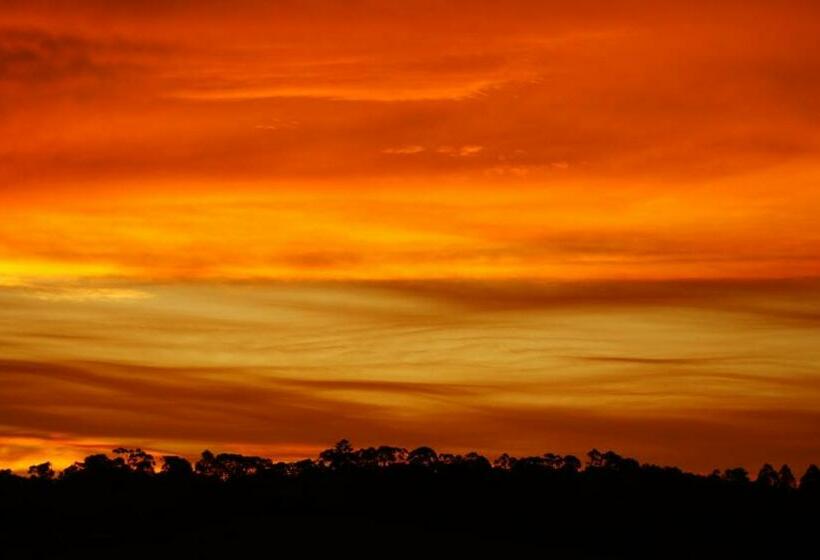 Bed and Breakfast La Dolce Vita